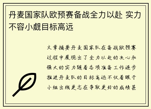 丹麦国家队欧预赛备战全力以赴 实力不容小觑目标高远