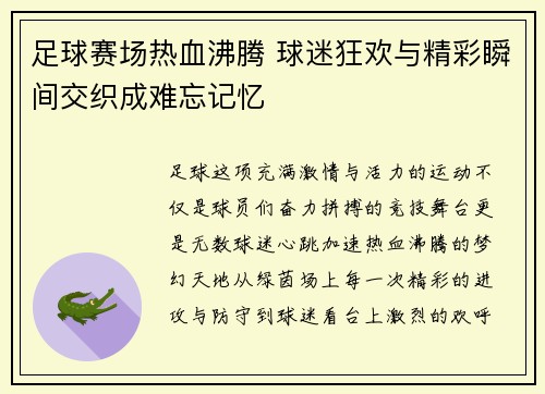 足球赛场热血沸腾 球迷狂欢与精彩瞬间交织成难忘记忆